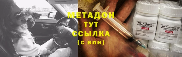 гидра Аркадак