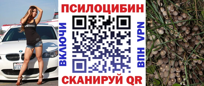 Купить  Нытва  Галлюциногенные грибы GOLDEN TEACHER 